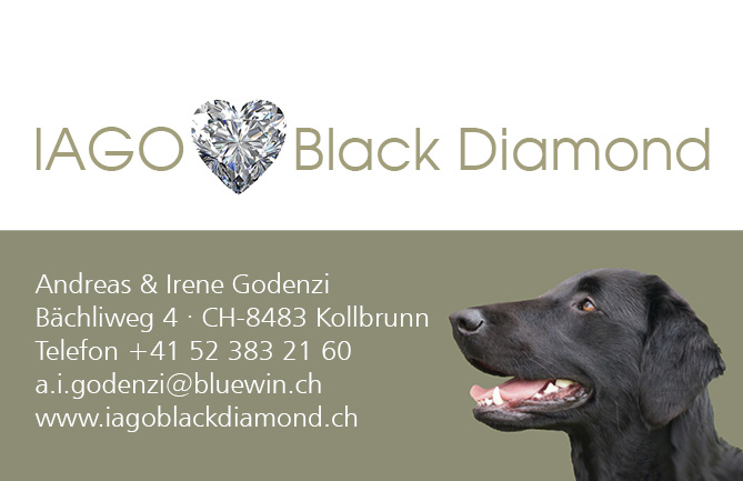 Visitenkarten Iago Black Diamond